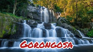 PARQUE NACIONAL DE GORONGOSA-Moçambique