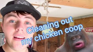 Chicken coop cleaning (tricks on how to clean your coop easier)