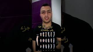 البالاناريا | أعجوبة الكائنات