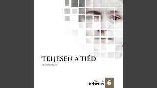 Teljesen a Tiéd (Totus Tuus)