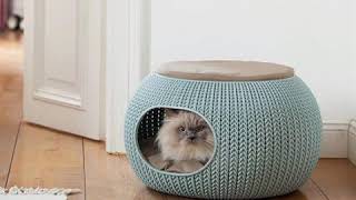 luxury cat bed design ideas