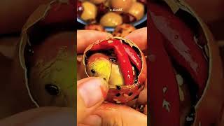 p604 | Balut eggs are super delicious #asmr #mukabang #funny