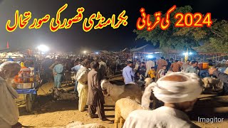 Bakra mandi.#goat #bakramandi #bakra #bakraeidspecial #viral #viralvideo #viralshorts #goatfarming