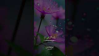 سورة الناس | recitation of Holy Quran| heart touching voice #islamicstatus  #quran