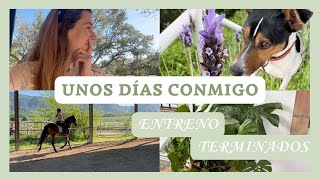 VLOG👩🏼‍💻🐴🌿 RESULTADO médico, ENTRENO doma clásica HÍPICA, productos TERMINADOS y VINTED | Laura Raya