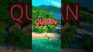 Surah Maidah Ayat no 90-93 urdu translation #shortvideo#viral #shorts#youtube#viral