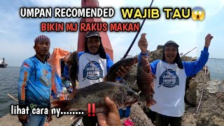 UMPAN YG DI SENANGI IKAN MJ‼️ LIHAT CARA BAPA INI MANCING IKAN MJ,😱 BIKIN NGILER TETANGGA