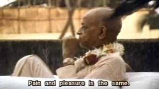 Srila Prabhupada Part 16