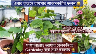 ‌ আমার বাসার বেলকনিতে Gardening করা শুরু করলাম 👩‍🌾| এবার লন্ডনে সবার বামপার শাকসবজীর ফলন 😂|