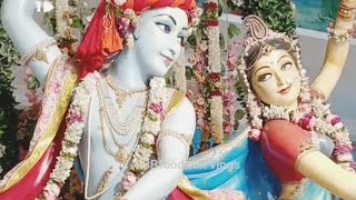 वृन्दावन में कृष्ण🙏 प्रसाद विदेशी लोगों को भी पसंद | Mathura | Vrindavan| Iskcon Vrindavan | India