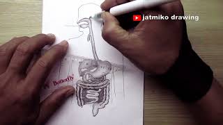 how to draw human digestion  system