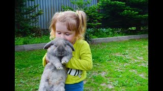 Hop into Wonderland: The Adorable World of Bunnies!!! #bunny #rabbit #pets