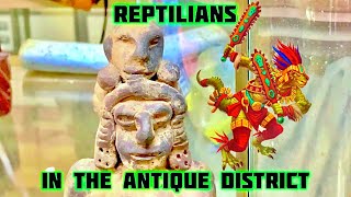 REPTILIANS IN THE ANTIQUE DISTRICT