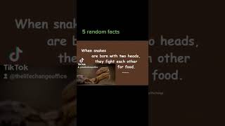 5 random facts