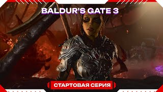 Baldur's Gate 3 -  рубилово #shorts #смех