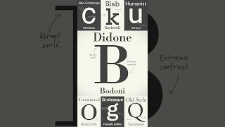 Discover the Timeless Elegance of Didoni Fonts