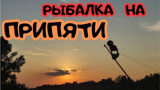 Рыбалка с Ночёвкой на реке Припять. Мой первый выезд на ночь в сезоне!