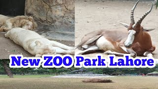 new zoo park Lahore | discover zoo park at Lahore 2024 | zoo garden Lahore | chirya Ghar Lahore #zoo