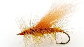 Tying The Norm Woods Special