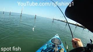 spot fish kiptopeake state park kayak fishing