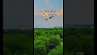 Romantic Urdu Poetry Urdu Shayari Sad Status Video 2023