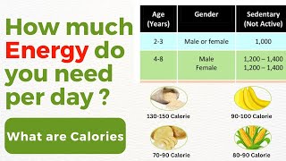 What is a calorie | How many calories do we need per day | What are the main sources of energy