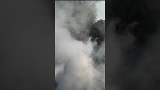 Continental GT650 insane rolling BURNOUT | #gt650 #royalenfield #trending #shorts #viral #caferacer