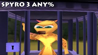 The First Spyro 3 Any% Run