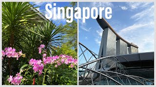 Exploring Singapore's Chinatown, National Orchid Garden and Garden Rhapsody