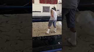 Wait til the end #shorts #fail #rugwash