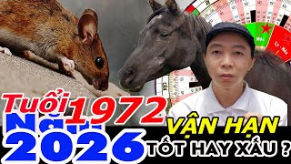 Xem Vận Hạn Tuổi Nhâm Tý 1972 năm 2026 RA SAO ?  Phong Thủy 100 Năm