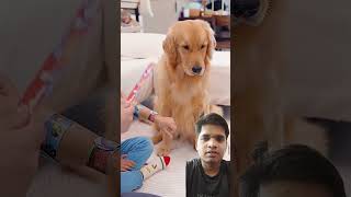 Dog 🐶 comedy video #shotsfeed #viralvideo #reelsindia #reels Is it fun? Naive