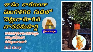 Mangalagiri lakshmi narasimha Swami temple || Naaradha Maharshi history in Telugu || plant's  #vjw