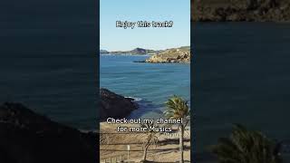 24/7 Bossa Nova Jazz Radio ~ Relaxing Latin Jazz Instrumental ~ Bossa Nova July