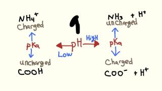 Medical pharmacology: Pharmacokinetics intro