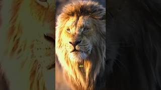 real Voice of lion #animals #viral 🤯🤯