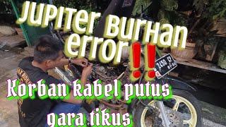 Jupiter burhan korban serangan tikus ganas