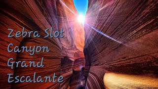 Hiking The Tightest / Coolest Slot Canyon Loop Trail Grand Escalante Staircase - Zebra / Tunnel Utah