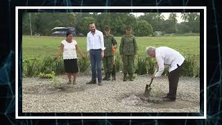 ¿Qué pasaría si se destina el 1% de gasto militar para poner en marcha un programa de reforestación?