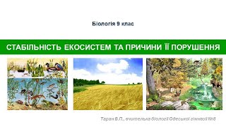 Стабільність екосистем та причини її порушення. Сукцесії. Агроценози