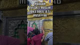 Maqaam Tiflan-e-Muslim bin Aqeel (a.s) Musayyab #shorts #shiashorts #karbala