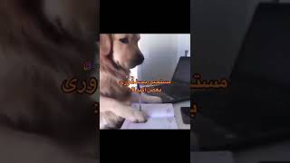 مستحيل يحط جوابين A ورى بعض :