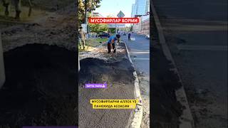 КИМ ҚАЕРДАН КУРЯПТИ