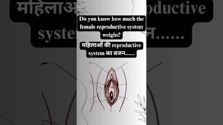 Weigh of the female reproductive system  #humananatomy #externalorgans #femalebody