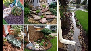 10 Dry Creek Beds for Landscaping I Green garden plants