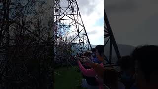 Hala grabe dinagsa ng mga tao ang cherry blossoms sa Hongkong