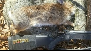 .410 RABBIT HUNTING