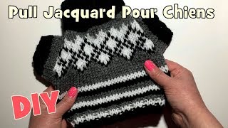 Tutoriel Tricot: Petit Pull Jacquard pour chiens DIY