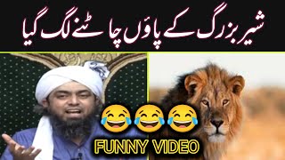 🤣 Sher Vs Lion | Funny Video | Engineer Muhammad Ali Mirza