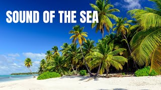 sound of the sea (música relaxante ao som das ondas) .#musicarelaxante #somdasondas  #somdomar